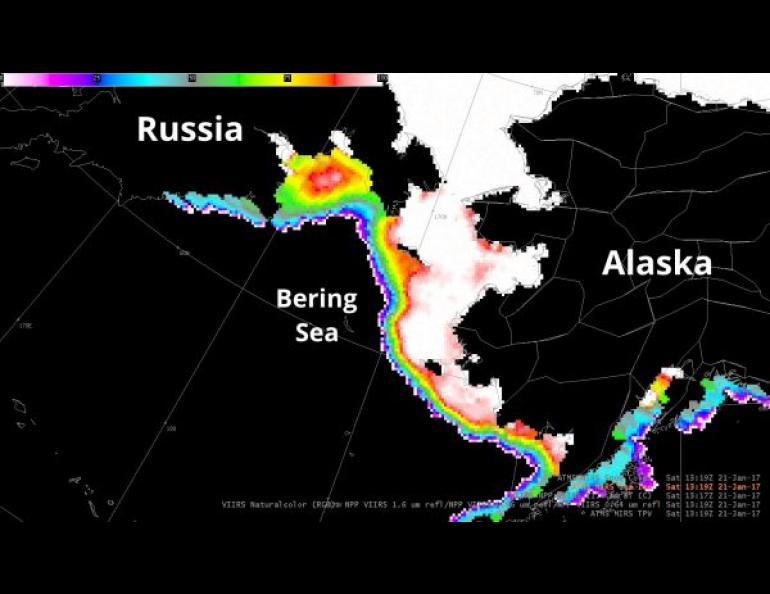 This microwave image shows Russia, the Bering Sea and Alaska as photographed by the Suomi NPP Satellite on Jan. 21. The scale in the top left shows sea ice concentration in percent, with red and white showing the most ice and blue and purple showing the least. Image provided by Carl Dierking.