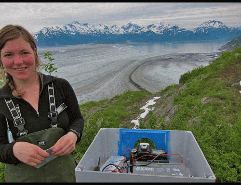 Barbara Truessel of UAF&rsquo;s Geophysical Institute sets up a time lapse camera near Yakutat Glacier which will become several glaciers because of melting. Photo by Chris Larsen.