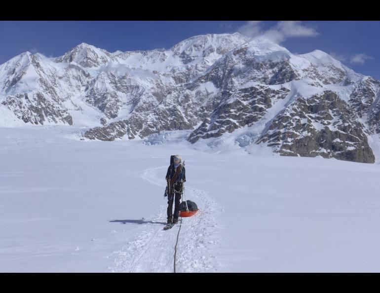 Kara Haeussler skis back to an airstrip on Kahiltna Glacier in 2014 with Denali in the far background and the Kahiltna Peaks in the foreground right. Photo by Peter Haeussler.