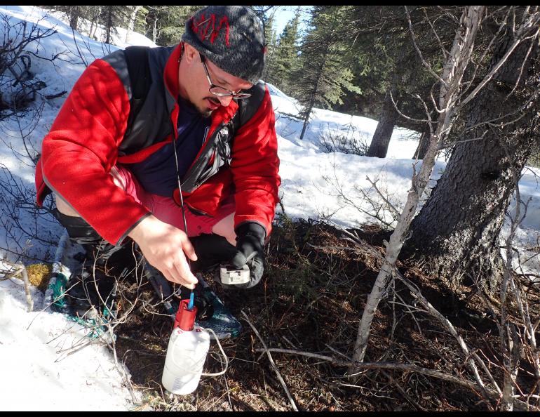 Amir Allam of the University of Utah and UAF installs a temporary seismometer near the Denali Fault between Delta Junction and Glennallen.