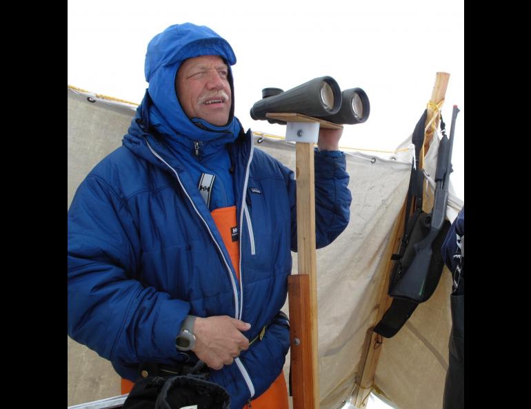 Craig George looks for bowhead whales north of Utqiagvik in May 2010. Photos by Ned Rozell