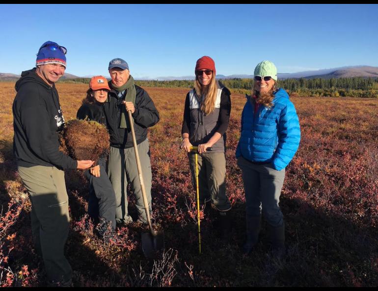 Bob Bolton with a plug of northern tundra soil from the Seward Peninsula extracted during a field trip in early September 2017. To Bolton’s left are Anne Gust Brown, Jerry Brown, Lydia Vaughn of the University of California Berkeley and Amy Breen, like Bolton a scientist with the International Arctic Research Center at UAF. Photo by Evan Westrup.