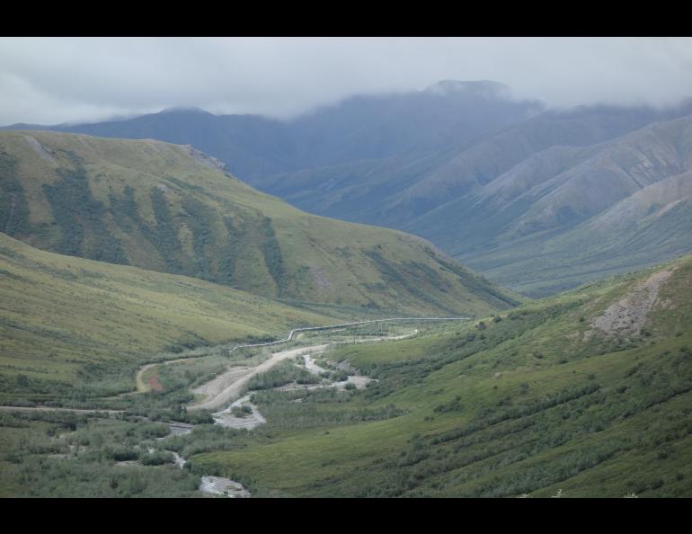 The last forested valley on North America’s road system, at the base of Chandalar Shelf on the Dalton Highway. Photo by Ned Rozell.