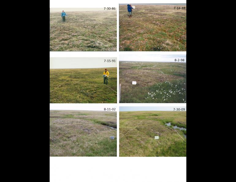 More than 20 years of changes in an undisturbed patch of tundra in northern Alaska, east of Kaktovik. Photos courtesy of Janet Jorgenson.