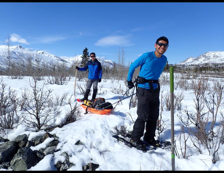 From left, graduate students Yadong Wang (University of Utah) and Kyle Smith (UAF), haul gear for installing temporary seismometers on the Denali Fault south of Delta Junction. Photos by Ned Rozell.