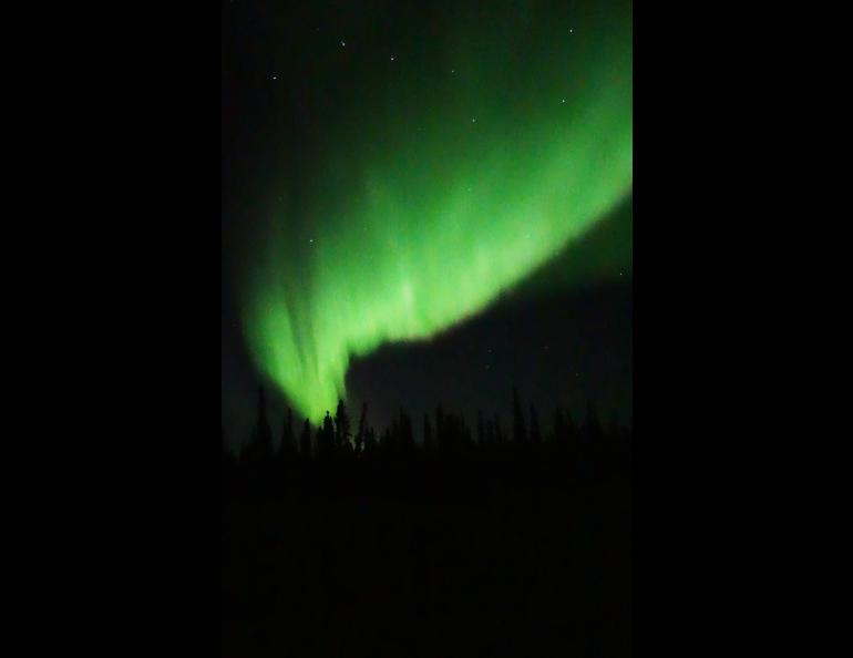 Aurora Borealis over a Yukon Flats island in early October. Photos by Ned Rozell.