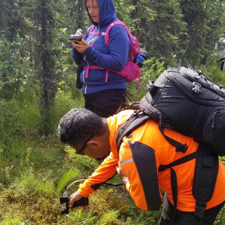 Professor Panda and a student collecting spectra of moss cover using PSR+ 3500 field spectrometer in Kenai National Wildlife Refuge.