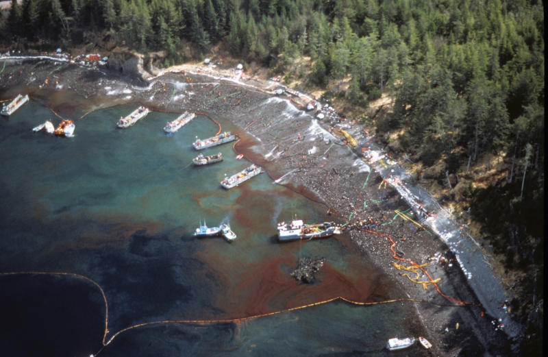 Oil Spill in harbor. The water has shades of green, blue, brown, and purplish black. 