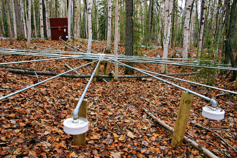 Infrasonic Array built to be above ground. Looks like pipes being held up by wooden boards with white metal-detecting-looking circles on the end. 