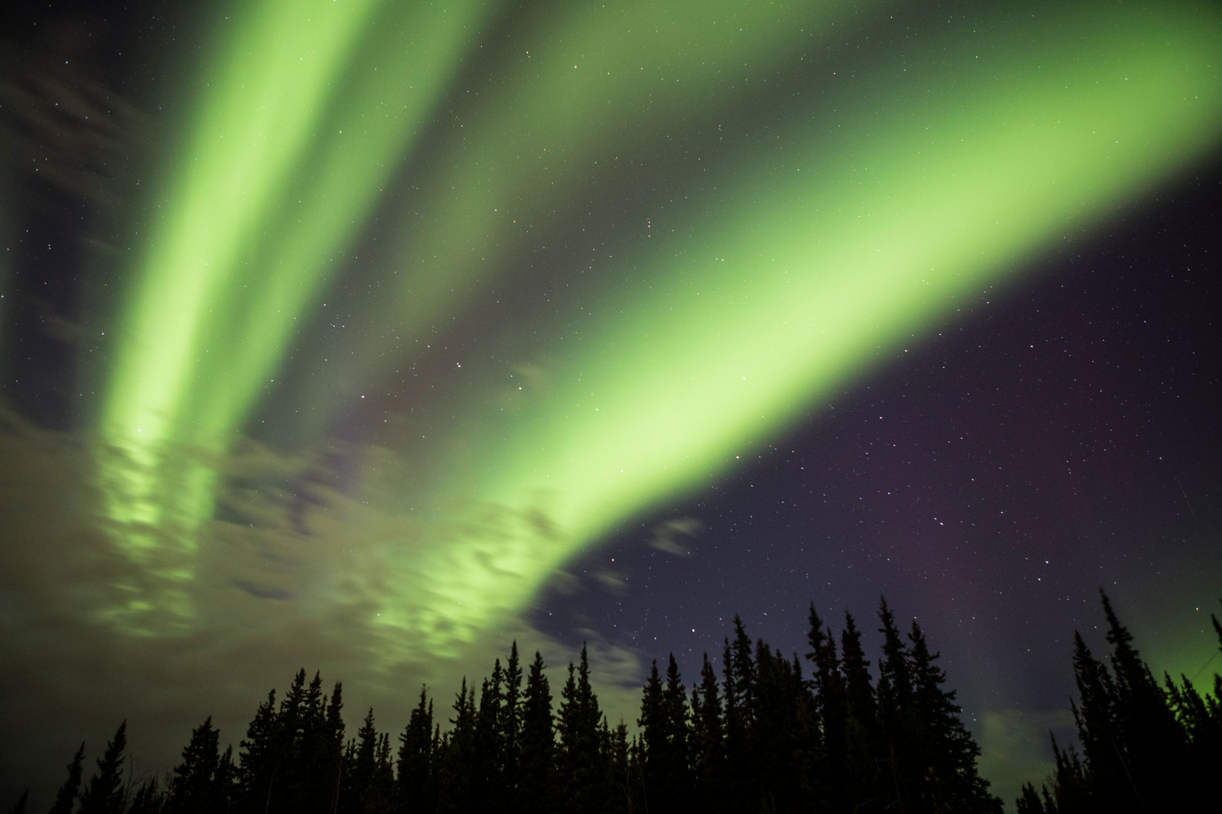 At its least active, the auroral curtain forms diffuse, glowing streaks hanging quietly in the sky. This form has no distinct structure. photo by UAF’s University Relations