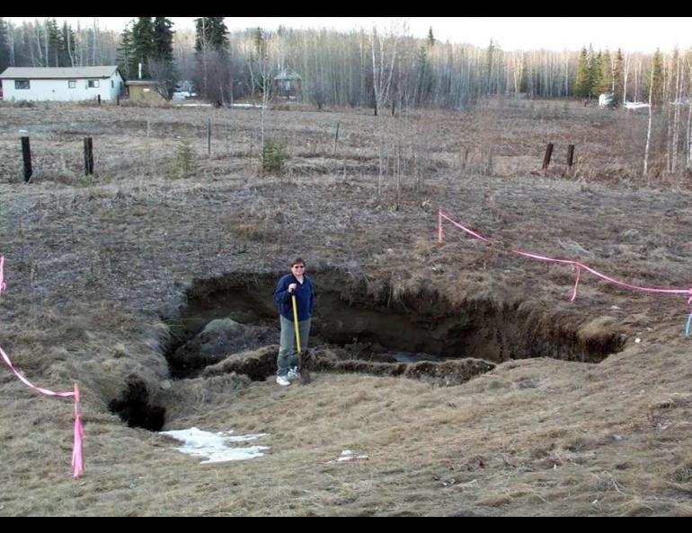 UAF researcher Vladimir Romanovsky poses near Fairbanks, Alaska in a place where permafrost has thawed, causing a surface disruption. Photo courtesy V. Romanovsky.