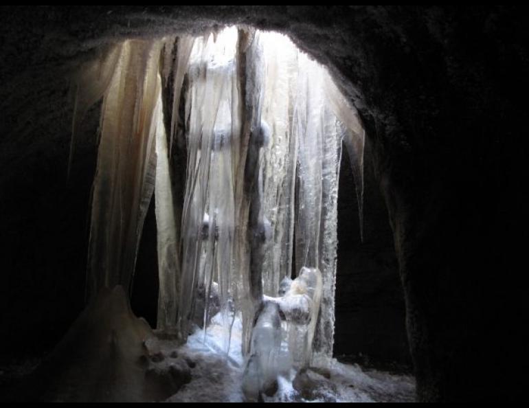 Icicles adorn the entrance to an ice cellar in the North Slope community of Kivalina. Photo by Ned Rozell.