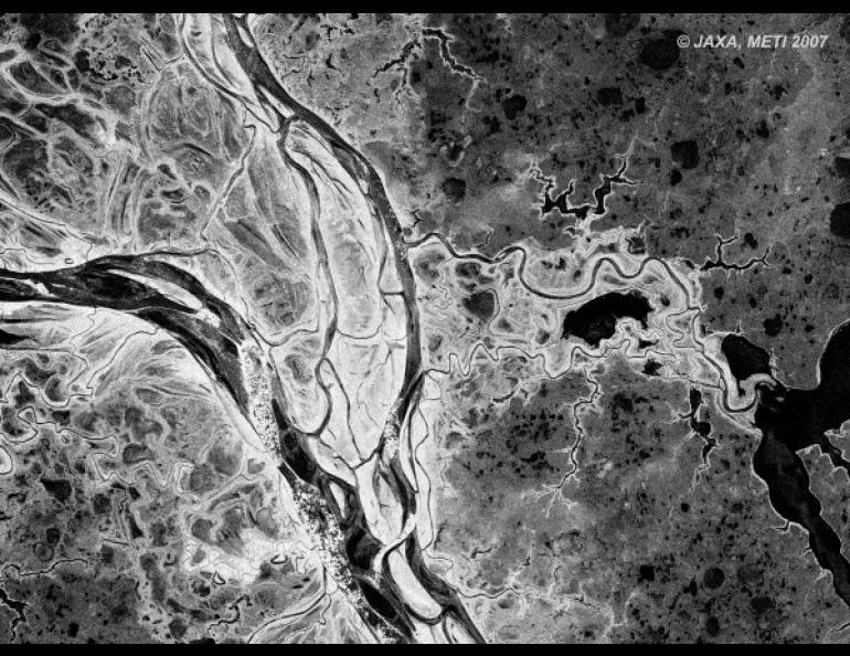 A 2007 PALSAR scene shows part of Alaska’s Yukon River Delta. © JAXA, METI 2007.