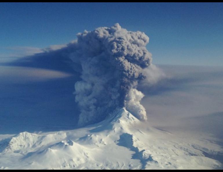 Pavlof Volcano erupts in March 2016, producing this spectacular view from the northeast. The photograph was taken at an elevation of 20,000 feet from Coast Guard 1713, a HC-130H Hercules aircraft based at Air Station Kodiak. Photo courtesy U.S. Coast Guard.