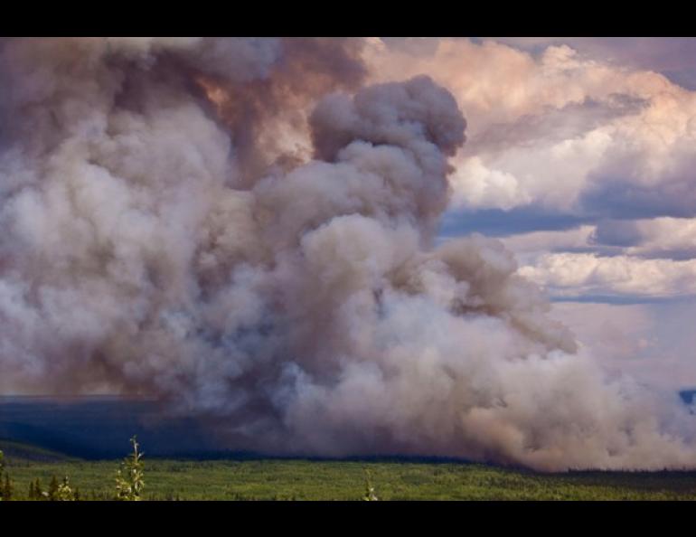 A 2009 controlled burn designed to allow researchers a better understanding of wildfire behavior works its way through a 250-acre plot in the Tanana Valley State Forest about 35 miles southwest of Fairbanks. UAF photo by Todd Paris.