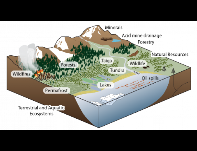 arctic tundra natural resources