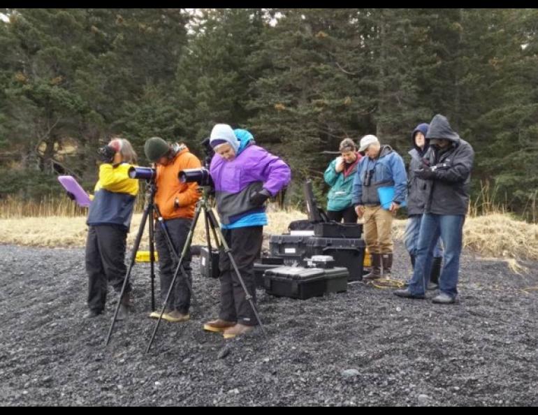 Observers stand on a beach to watch sea otters eat in the ocean. Photo courtesy of ACUASI.