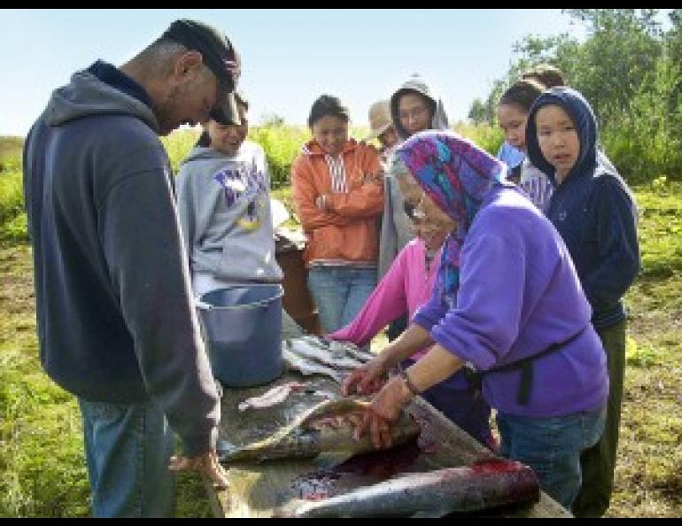 Photo courtesy of the Center for Alaska Native Health Research.