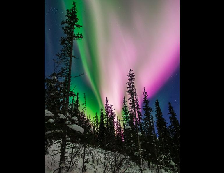 The aurora crosses the sky near Poker Flat Research Range. Recent discoveries made by researchers at the University of Alaska Fairbanks and the U.S. Geological Survey allowed researchers to record aurora using seismometers, the primary tool to monitor earth movement. Photo by Aaron Lojewski.