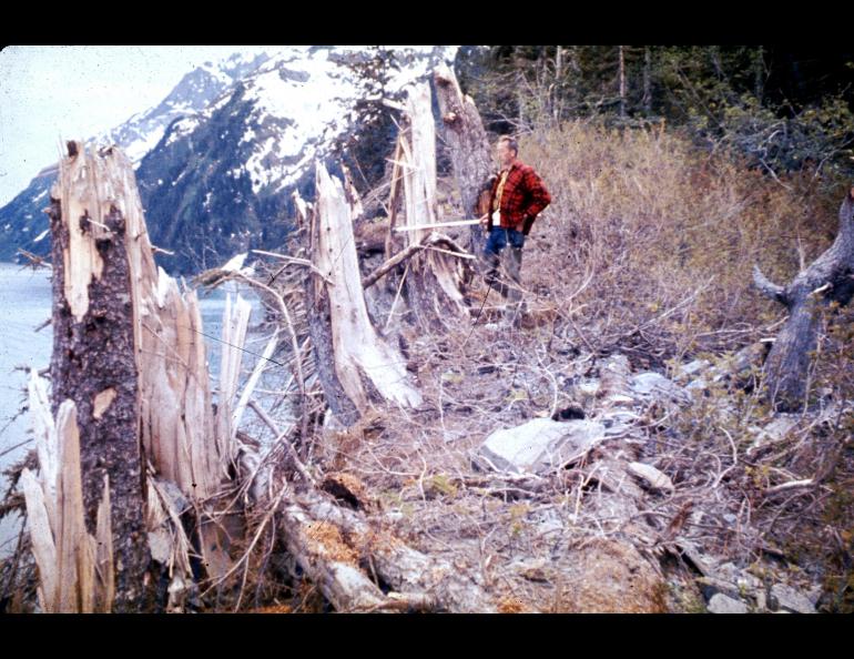 Damage along the coast of Port Valdez from a tsunami associated with the magnitude 9.2 earthquake of March 27, 1964, in Prince William Sound, Alaska. Courtesy of the U.S. Geological Survey.