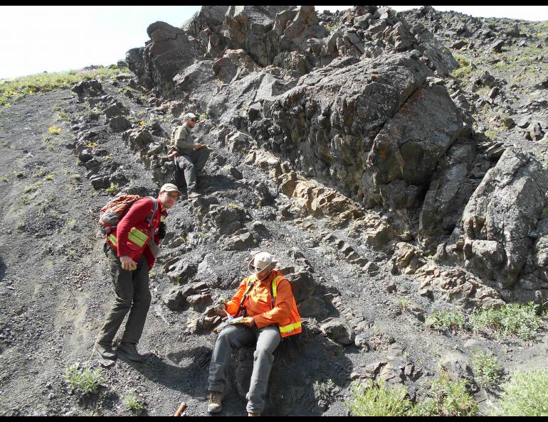 Precipitation Helped Drive Distribution Of Alaska Dinosaurs ...