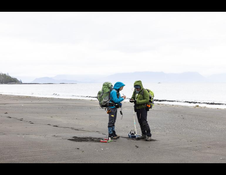 Research assistant professor Taryn Lopez of the UAF Geophysical Institute and Carlo Cardellini, associate professor at the University of Perugia in Italy, record measurements at one of several sites on a beach on Kruzof Island in Southeast Alaska on June 5, 2023. Photo by JR Ancheta