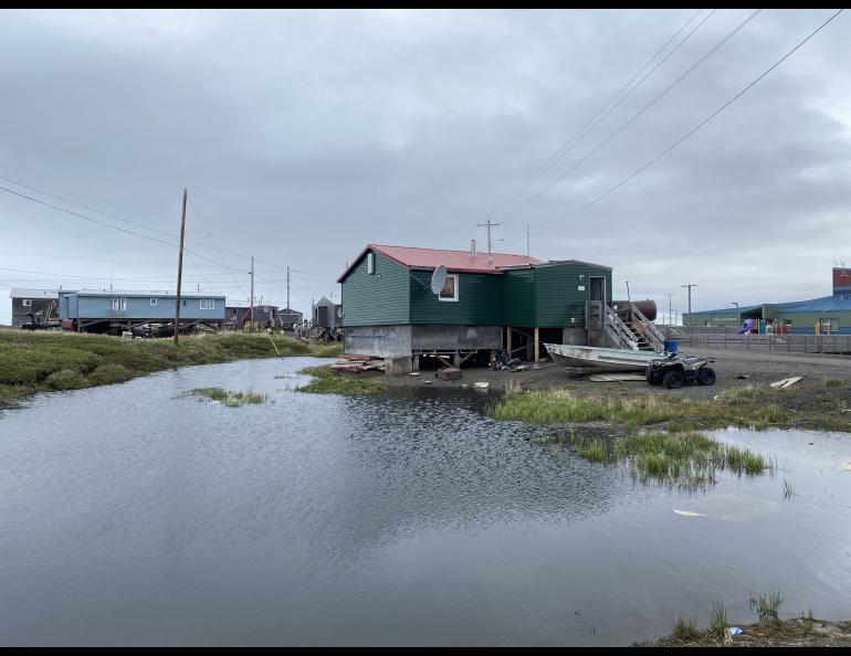 The combined effects of climate change and infrastructure development on ice-rich permafrost in Point Lay have resulted in severe thaw subsidence and surface water ponding that is destabilizing homes. Photo by Jana Peirce.