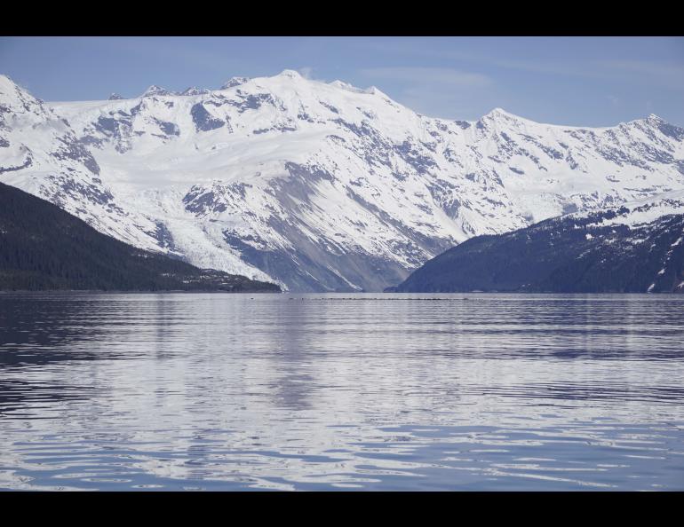 The landslide area is shown at center and reaching the waterline. Barry Glacier, out of view, has retreated and left behind an unsupported fjord wall that has slumped about 650 feet in recent decades. Photo by Rod Boyce