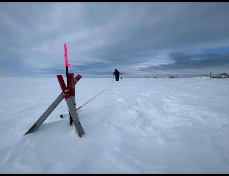 Marc Oggier of the UAF International Arctic Research Center walks a marked line taking snow depth measurements. Photo by Rod Boyce