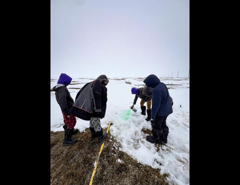 High school students attending Ilisaġvik Summer Camps, learning about snow melt and percolation at Barrow Environmental Observatory, in June 2024, Utqiaġvik, Alaska. Photo by Howie Epstein