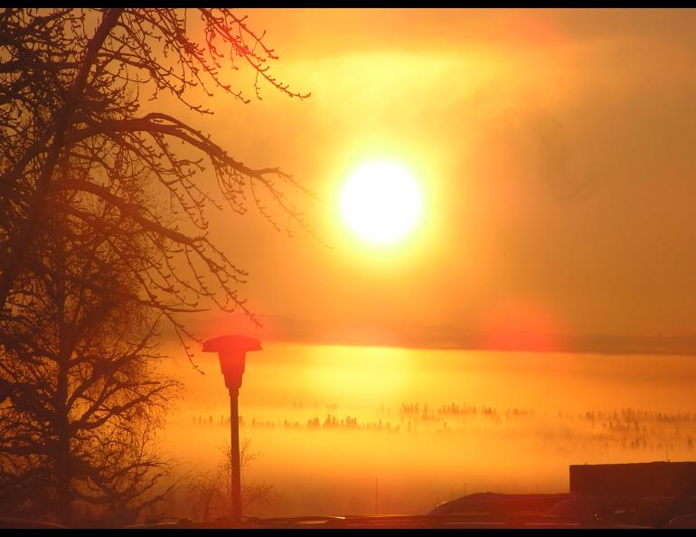 Ice fog over Fairbanks as seen from the University of Alaska Fairbanks. Debby Dean photo