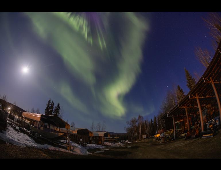 The northern lights adorn the sky over the UAF Agricultural and Forestry Experiment Station early Sunday morning, April 21, 2024. UAF photo by Eric Engman