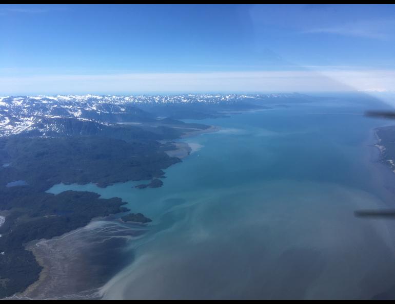 Multiple glacial streams carry turbid glacial runoff into Kachemak Bay in this aerial view looking southwest from the head of the bay toward Homer on June 30, 2021. Photo by Martin Stuefer