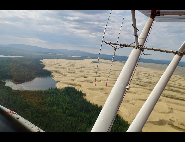 The Nogahabara Dunes spill into a lake 35 miles west of the village of Huslia as seen from the back seat of a Super Cub piloted by Brad Scotton of the U.S. Fish and Wildlife Service based in Galena. Photo by Ned Rozell.