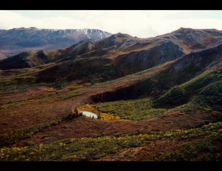 A volcanic crater northeast of Healy, Alaska, that is part of the Buzzard Creek maars. Photo by Chris Nye.