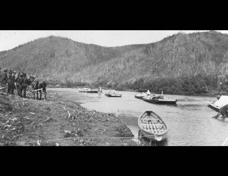 Horse-towed freight scows arrive at Ophir, on the upper Innoko River, from Dishkaket on July 24, 1910. Photo by A.G. Maddren, USGS public domain image.