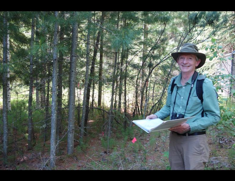 Artist and UAF professor emeritus Kes Woodward in a stand of exotic trees on the Fairbanks campus. Photo by Ned Rozell.