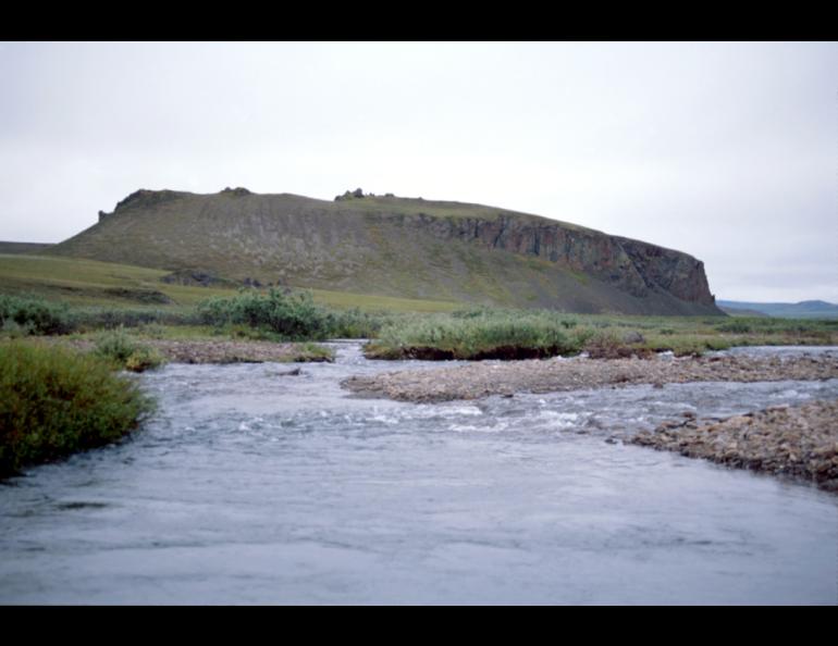 A creek runs beside the Mesa Site in northern Alaska. Photo by Dan Gullickson.