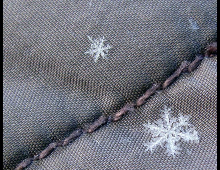 The prettiest form of a fallen snow crystal, a stellar dendrite. These survived their fall through a cloud without colliding with other snowflakes. Photo by Ned Rozell.