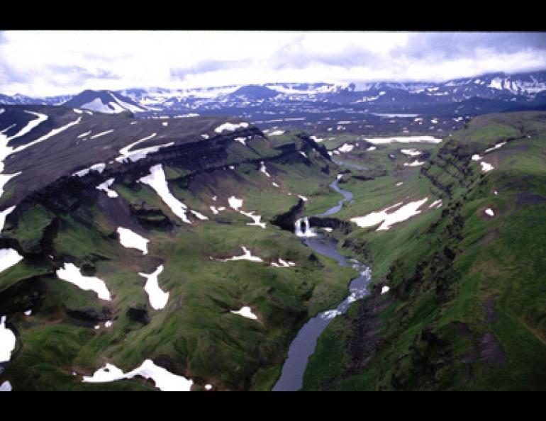  The entrance along Crater Creek to the rising crater on top of Okmok Volcano. Okmok is located on Umnak Island in the Aleutians. Photo by Doerte Mann. 