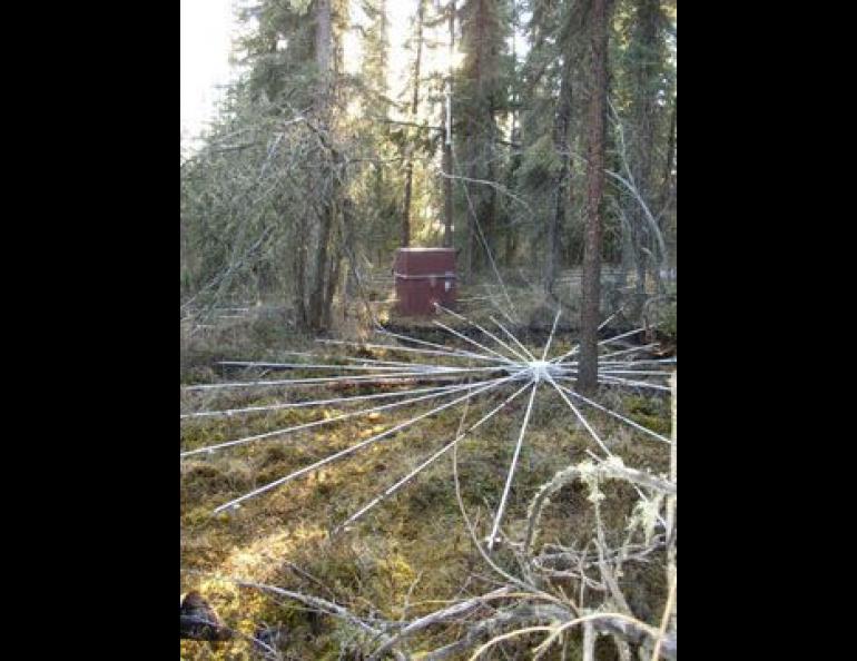  An infrasound array in Fairbanks that helped detect an acoustic signal from the Alaska Range following the Denali fault earthquake. Daniel Osborne photo. 