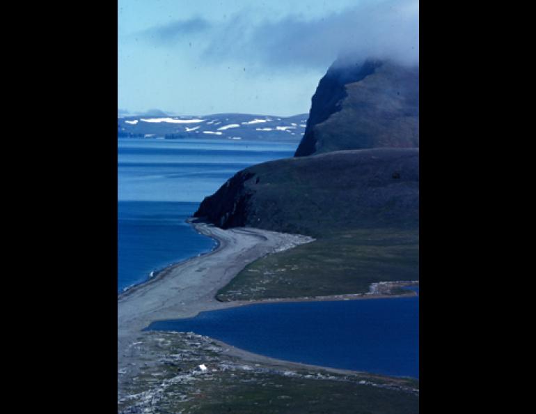  Six-thousand reindeer lived here on St. Matthew Island in the Bering Sea in 1963. By the 1980s, zero reindeer remained. Dave Klein photo. 