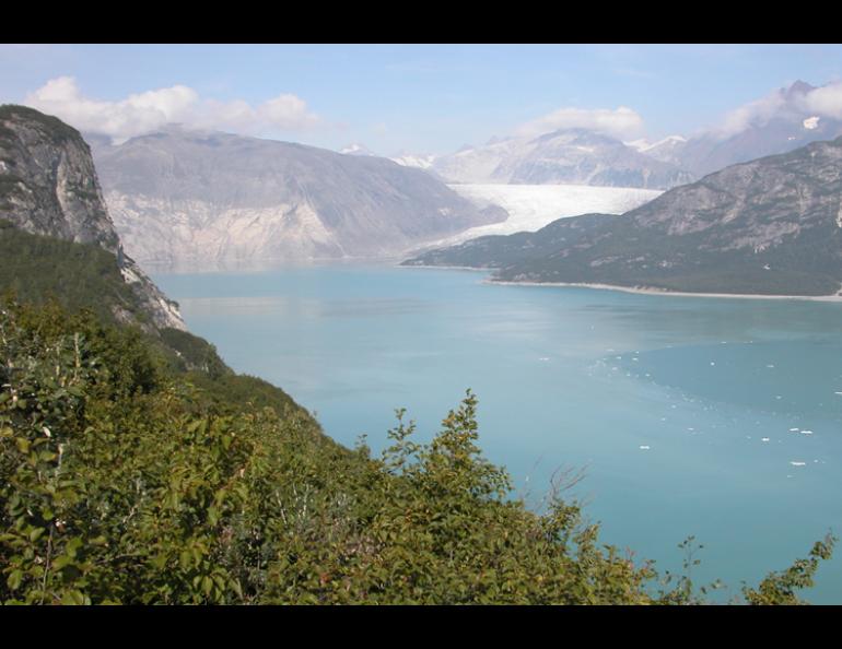  Riggs Glacier (and the lack of Muir Glacier) in Glacier Bay National Park, as photographed in 2004. Photo by Bruce Molnia. 