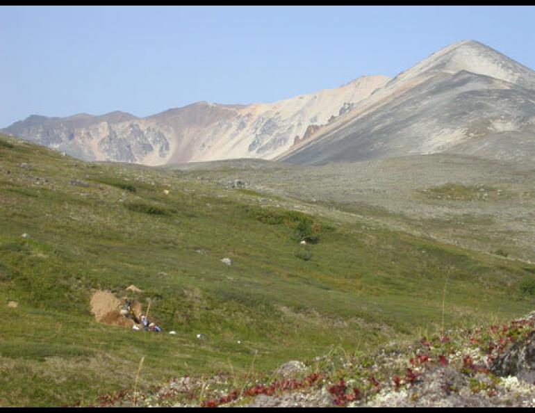  Geologists Patty Burns, Tony Crone and Steve Personius work on a trench in the Alaska Range, looking for clues to when large ancient earthquakes occurred on the Denali fault. Ned Rozell photo. 