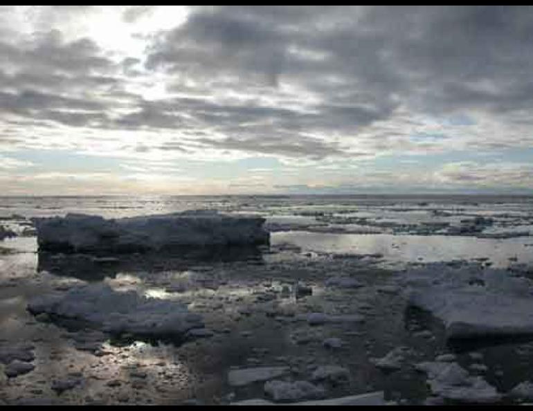  Sea ice floating offshore of Gambell. Photo by Ned Rozell. 