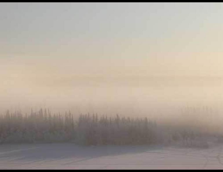  Ice fog forms at about minus 30 degrees Fahrenheit. Photo by Ned Rozell. 