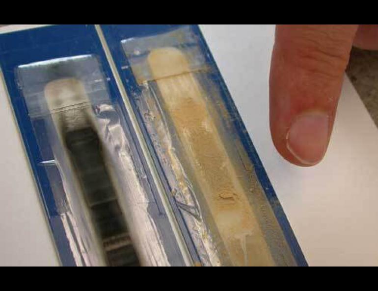  Atmospheric scientist Cathy Cahill points to two recent air samples from Baghdad, one showing dust and the other fine trapped particles from burned diesel fuel. Photo by Ned Rozell. 