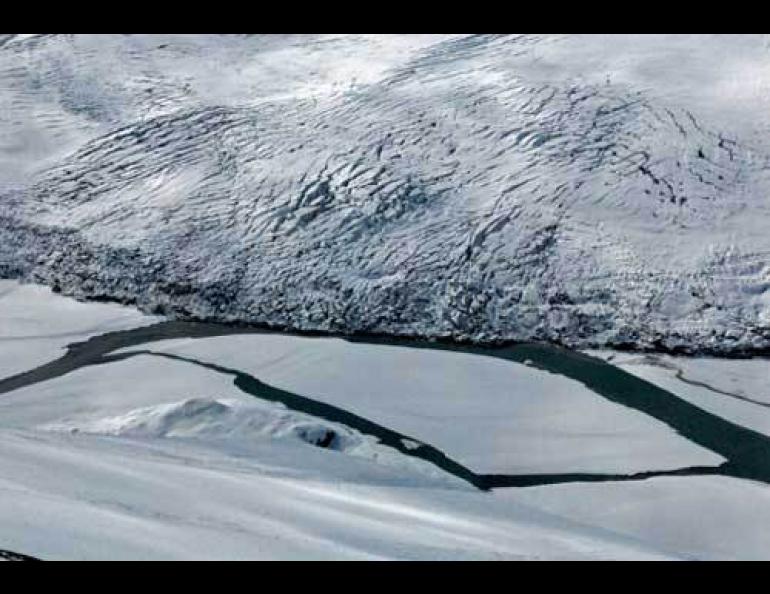  Tweedsmuir Glacier has surged into the Alsek River in northern British Columbia. The Alsek flows into Alaska and the Pacific Ocean at Dry Bay. Photo by Chris Larsen. 