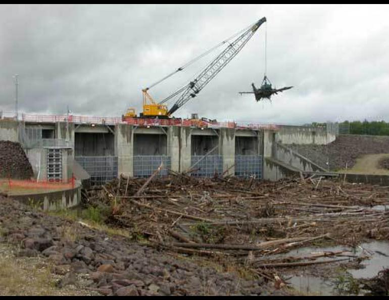  The flood-gate channels on the Chena River, clogged with debris from 2008 rains in July and August. Photo by Ned Rozell. 