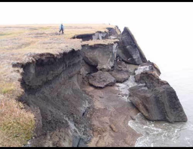  Christopher Arp of the USGS Alaska Science Center stands on part of Alaska’s eroding northern coast, between Lonely and Cape Halkett. Photo by Benjamin Jones. 